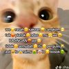 wong_jowo.72