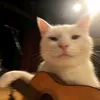 peanutbutteryouryapper0
