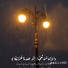 amer.gam