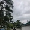 .gak_tau17