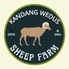 kandang_wedus