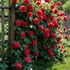 sonjoy.roy710