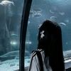 elya_73233