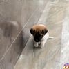 migue_123449