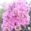 user19126102297030