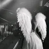 sonya_52_42