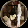 user51357318181234