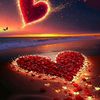 zuhaib.ali6855