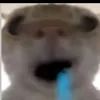 thch.chif