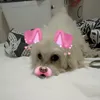 skibidi_sigma_spam