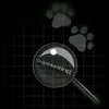 crypthunting