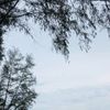 nature_l.over