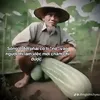 trimdaysocvuong