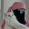 boqoradasatalka