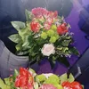 sofiia_bln