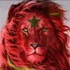 abdelkarim.el.zar