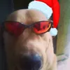 cachorrofunkk