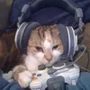micaexsz