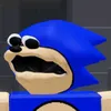 zeniktheedgehog