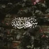 user20781382012338