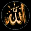 quran_alkarime.12