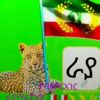 adisu.asefa95