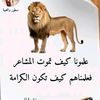 user7904005720338