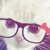 elalal_ztide92