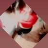 arignz17