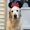 dailydoseofdaisy17