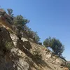 azizijezhwan