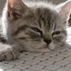 knowhisname0