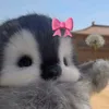 user_desconosido070