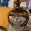 meoww_tok3