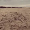 mila_r07