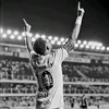 djvss244