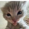 naura_nay6