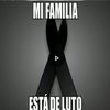 angiecastro9639