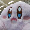 kirby50098