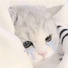 zaza_sj_