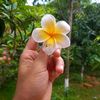 mahiamahi123egmail.com