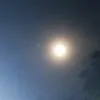 juliomasaling8