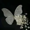 user6117770016117