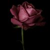.xmad_150