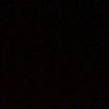 pokok_sholattt