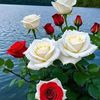 nur.alam1322