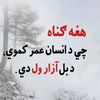 user423195320