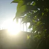 .lu.lu75