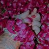 hassan.raza62047