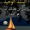 user4437178378579